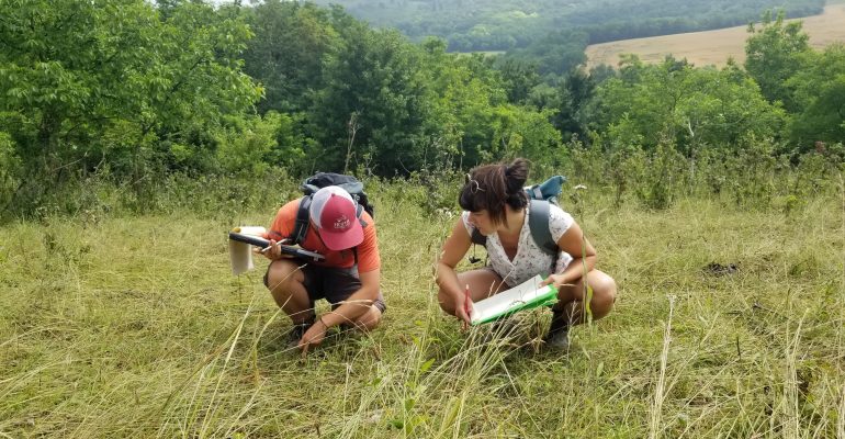 Holistic Management and Ecological Monitoring in the field